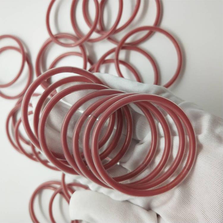 ptfe encapsulated viton o ring (3).jpg