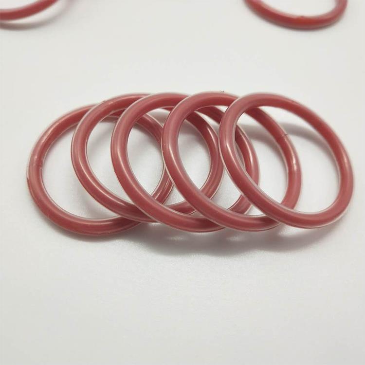 teflon encapsulated o-rings.jpg